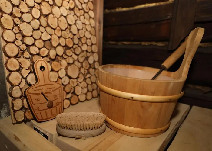 Miekkalan Saunatupa 木屋 拉彭兰塔